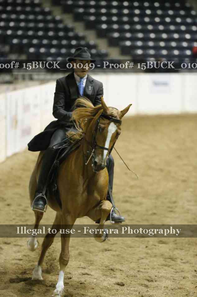 Proof 15BUCK_01049