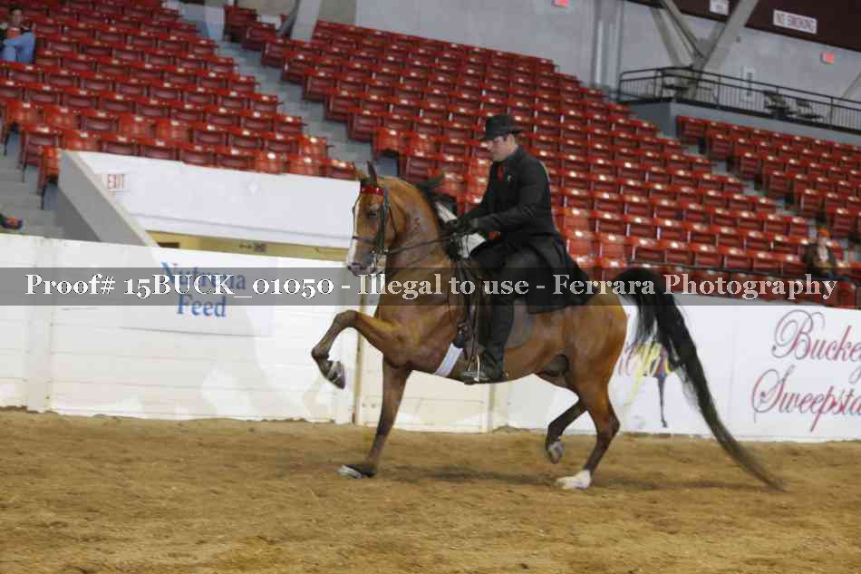 Proof 15BUCK_01050