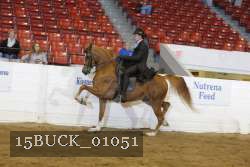 15BUCK_01051 proof