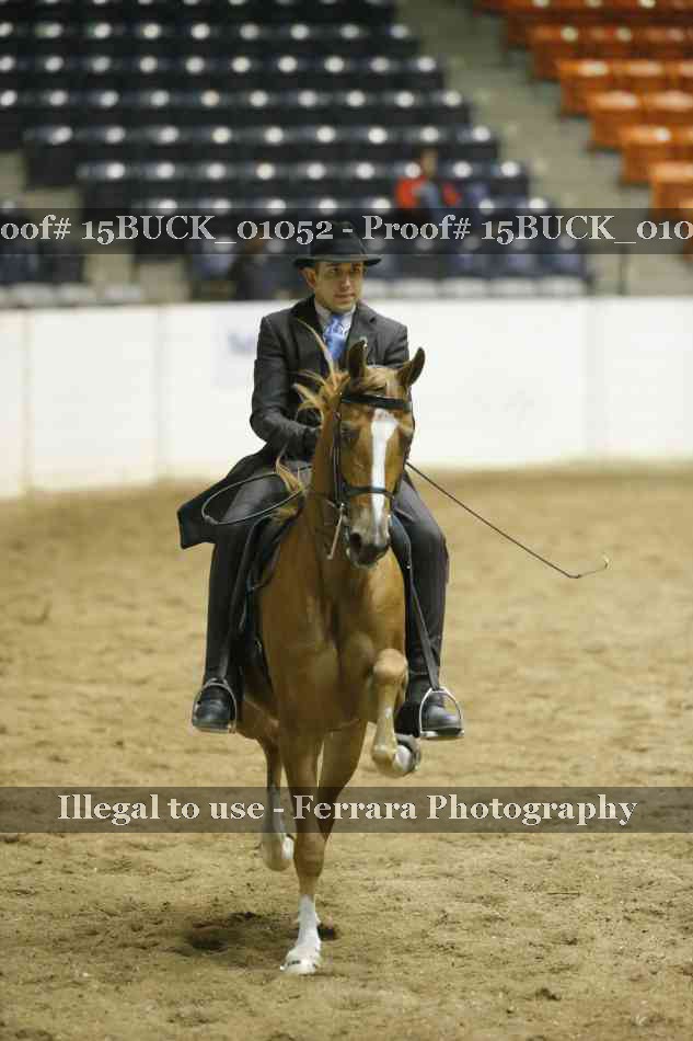 Proof 15BUCK_01052