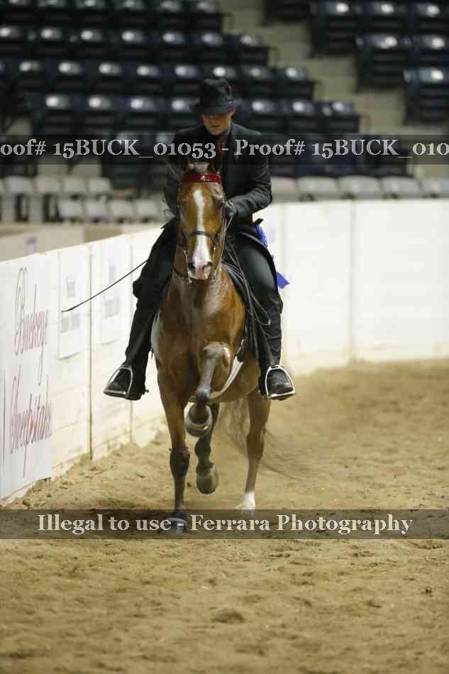 Proof 15BUCK_01053