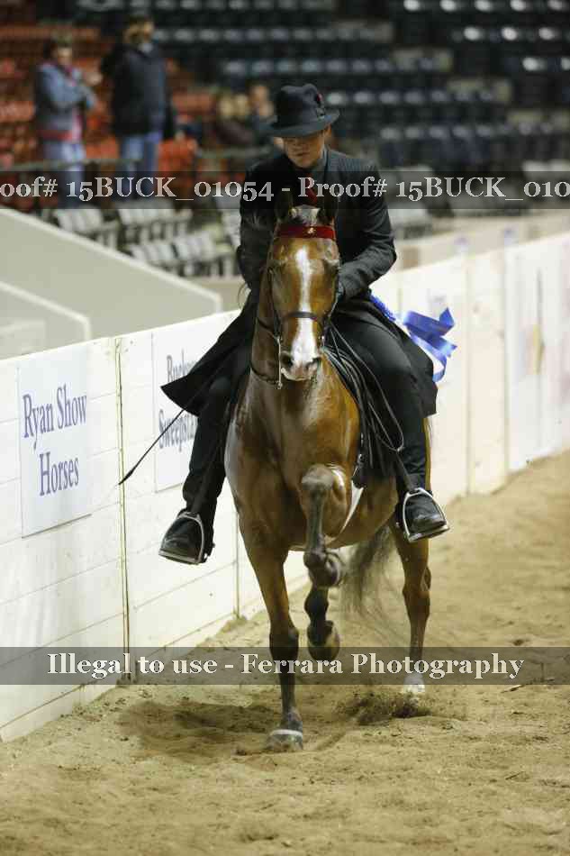 Proof 15BUCK_01054