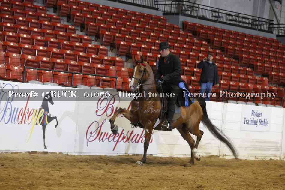 Proof 15BUCK_01056
