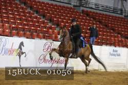 15BUCK_01056 proof