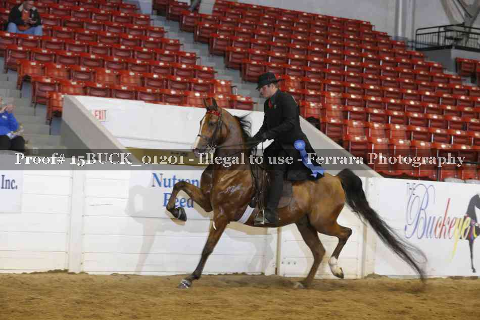 Proof 15BUCK_01201