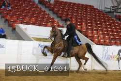 15BUCK_01201 proof