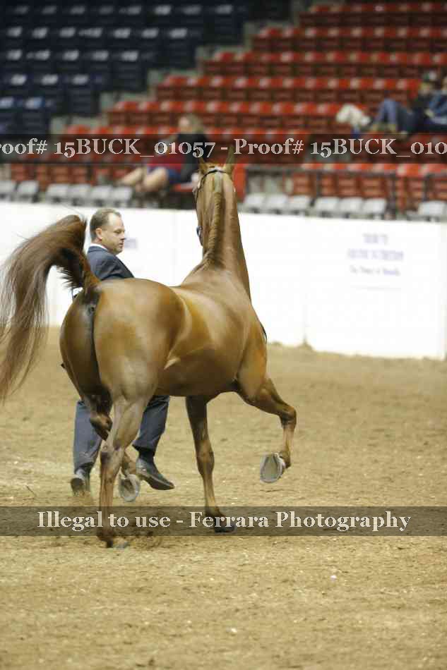 Proof 15BUCK_01057