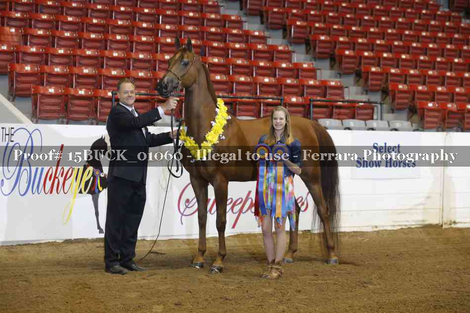 Proof 15BUCK_01060