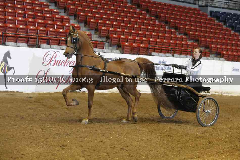 Proof 15BUCK_01063
