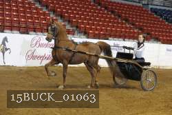 15BUCK_01063 proof