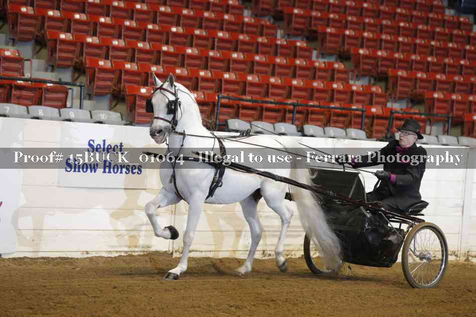 Proof 15BUCK_01064