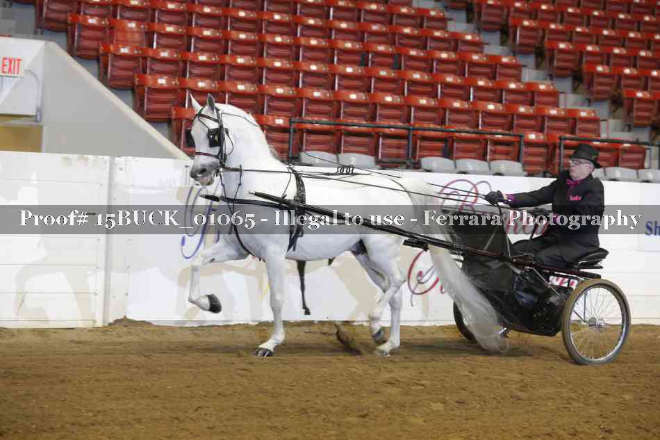 Proof 15BUCK_01065