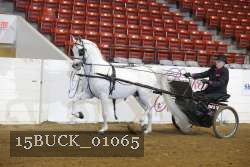 15BUCK_01065 proof