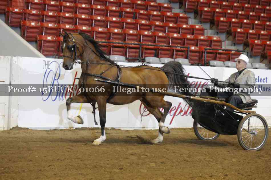 Proof 15BUCK_01066