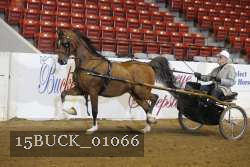 15BUCK_01066 proof
