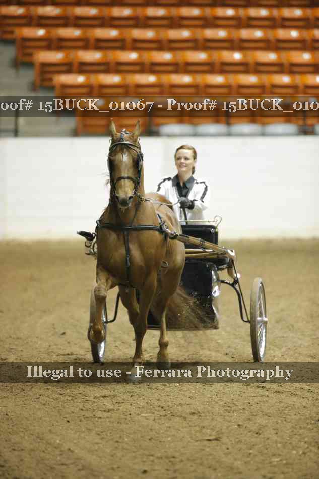 Proof 15BUCK_01067