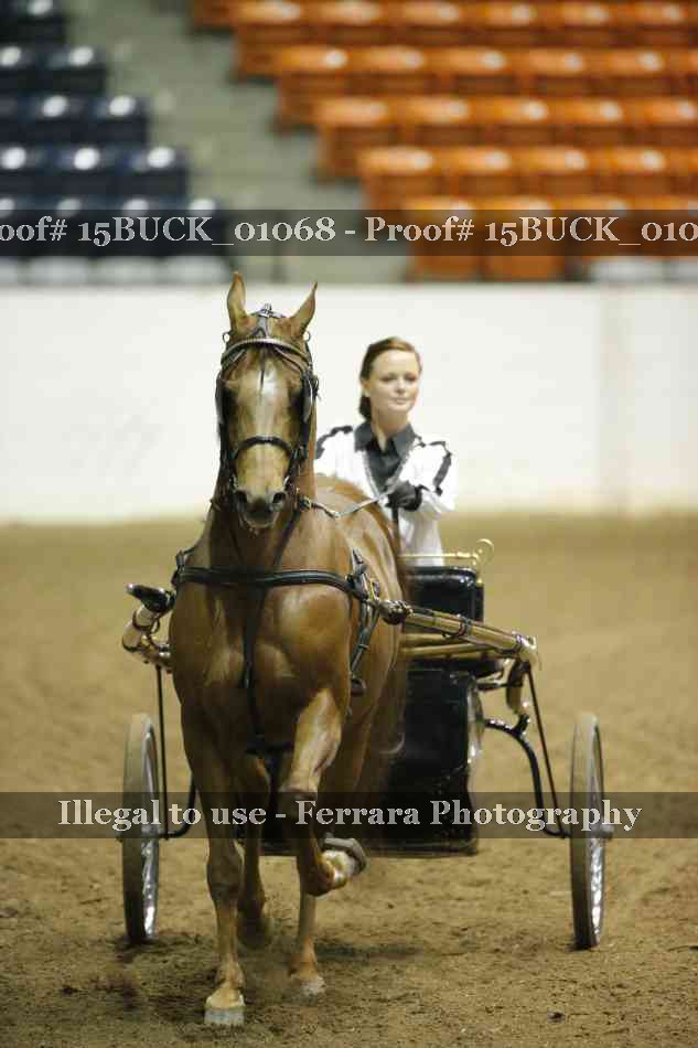 Proof 15BUCK_01068