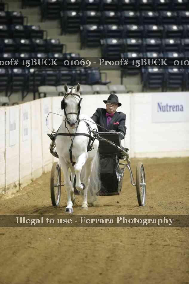 Proof 15BUCK_01069