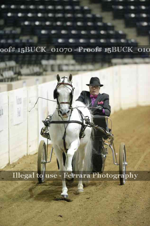 Proof 15BUCK_01070