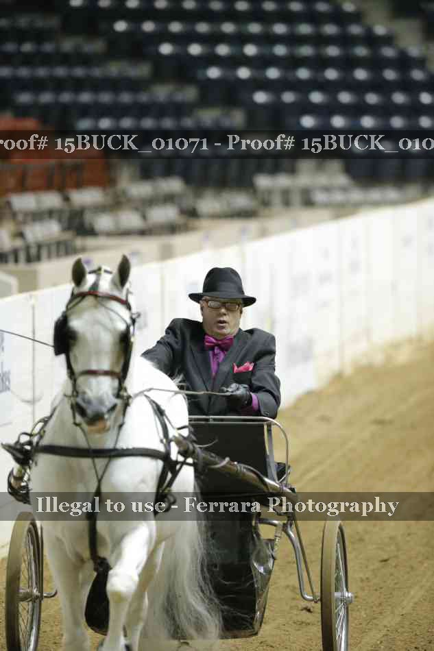 Proof 15BUCK_01071