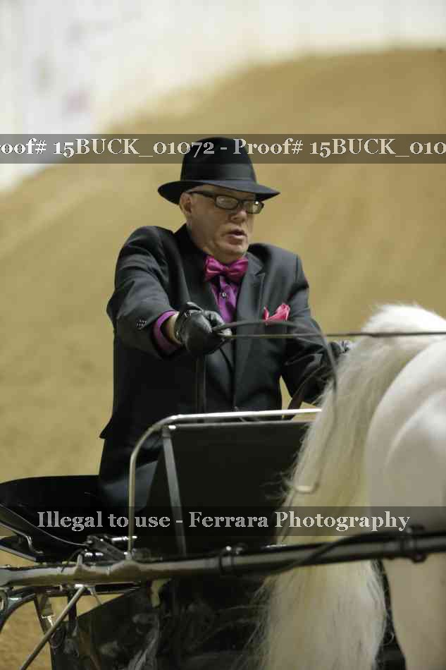 Proof 15BUCK_01072