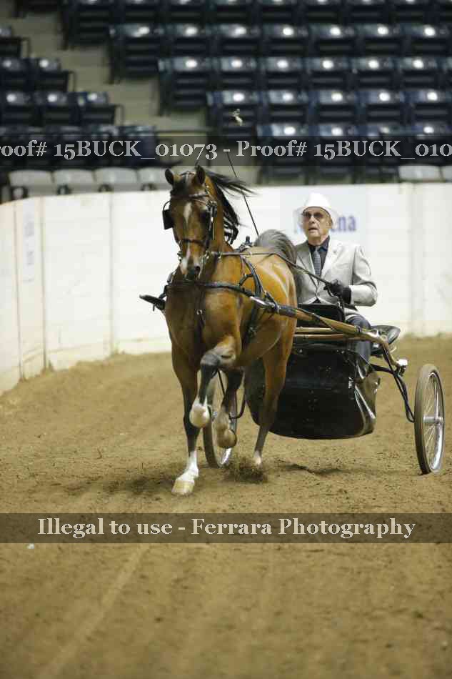 Proof 15BUCK_01073