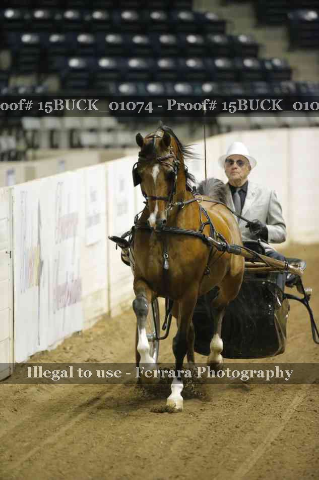 Proof 15BUCK_01074