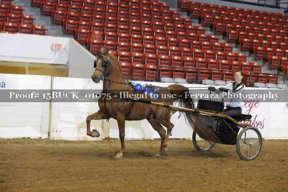 Proof 15BUCK_01075