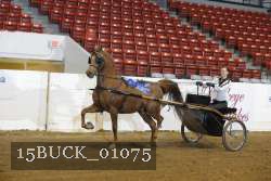 15BUCK_01075 proof