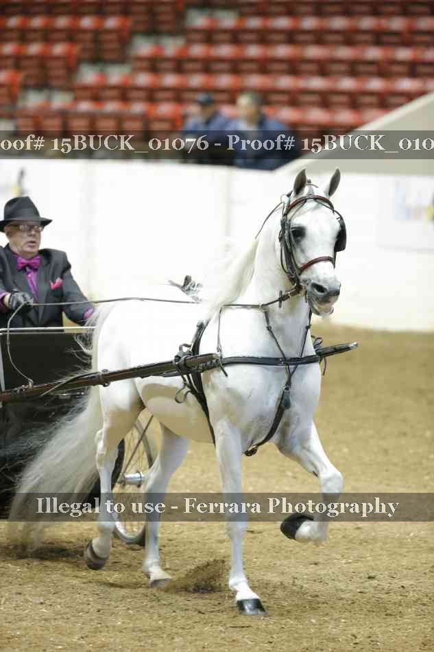 Proof 15BUCK_01076