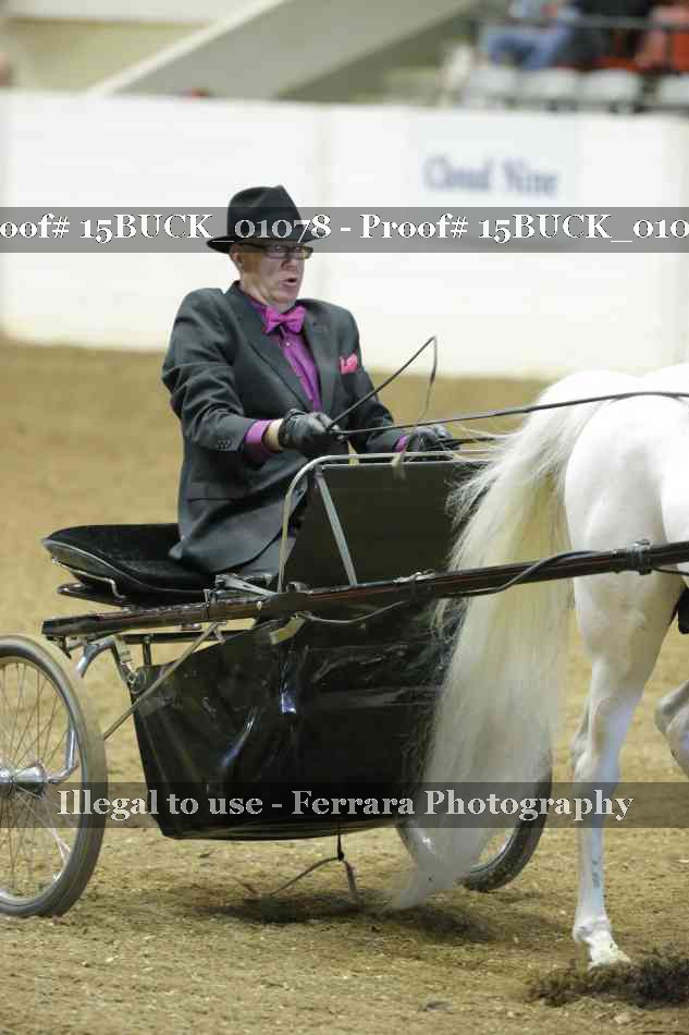 Proof 15BUCK_01078