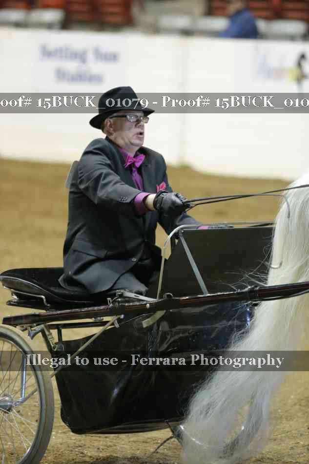 Proof 15BUCK_01079