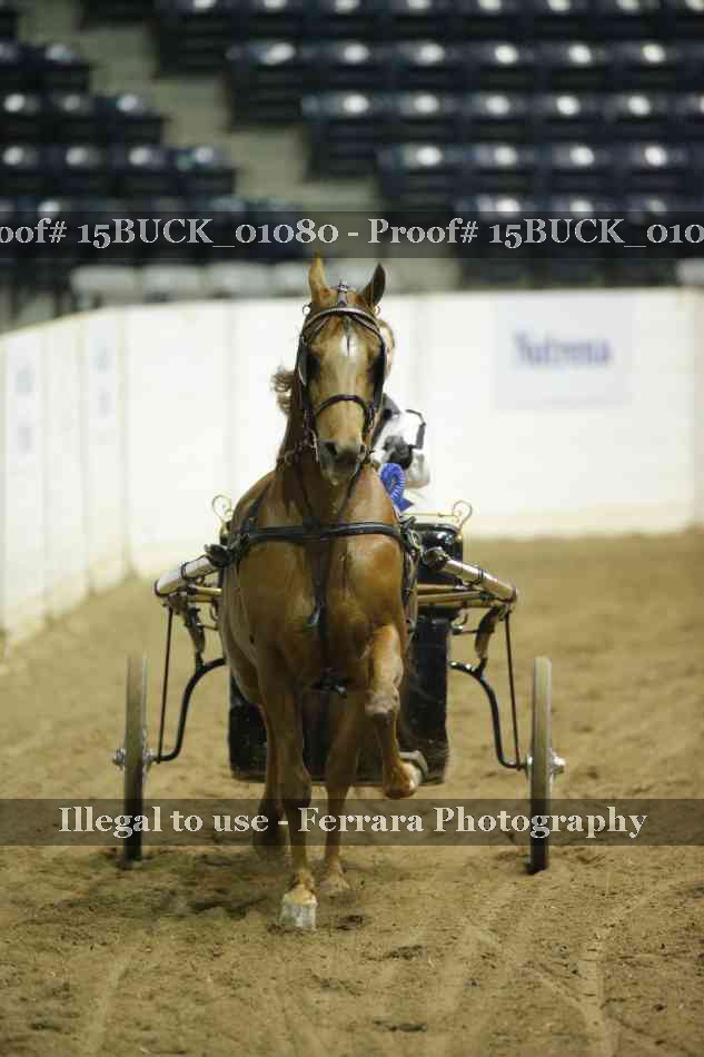Proof 15BUCK_01080