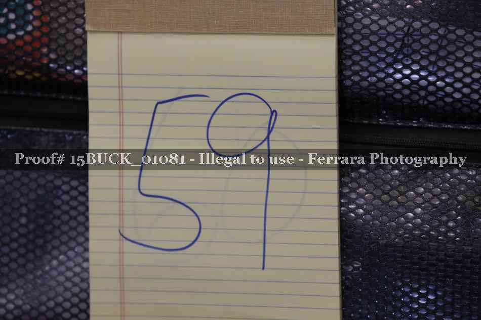 Proof 15BUCK_01081