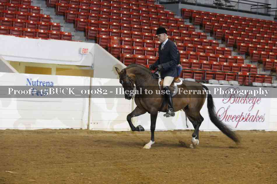 Proof 15BUCK_01082