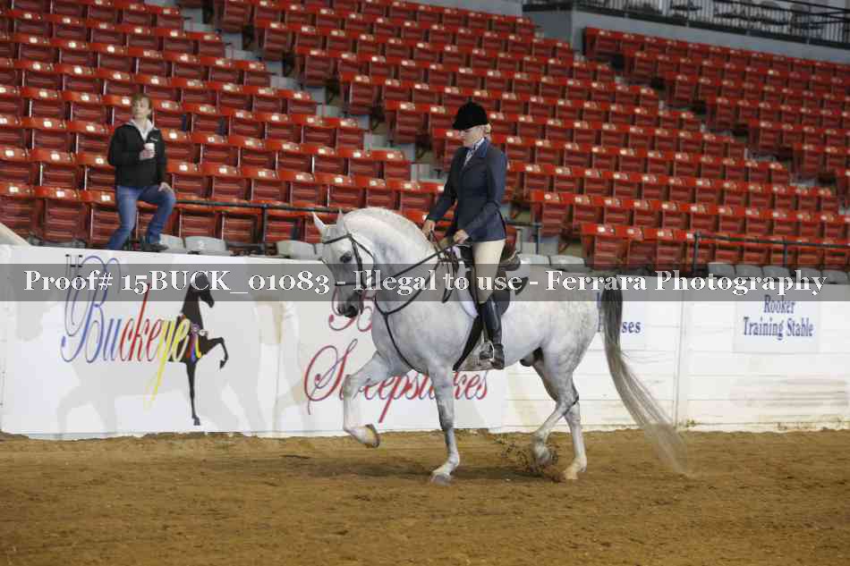 Proof 15BUCK_01083