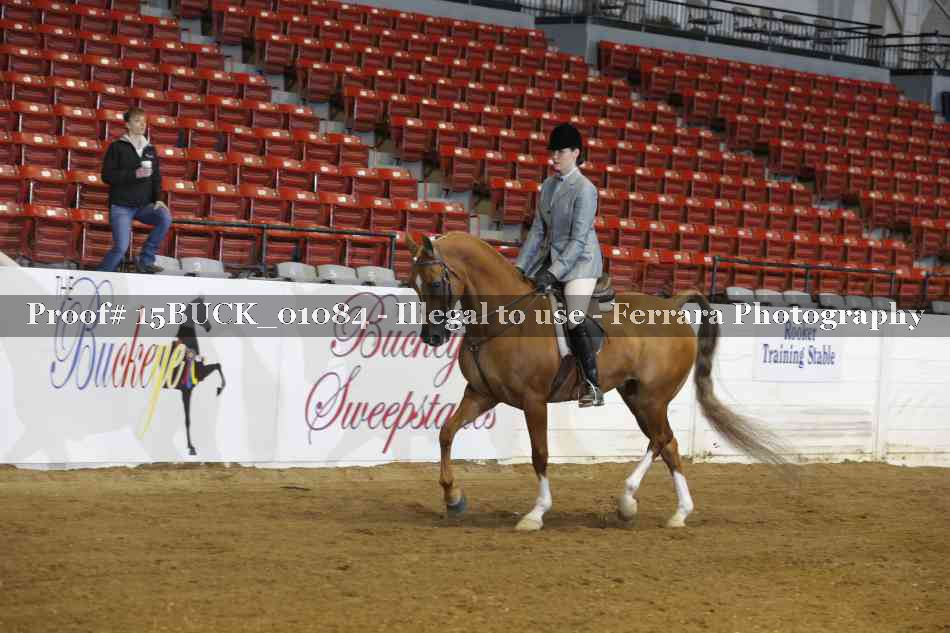 Proof 15BUCK_01084
