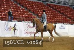 15BUCK_01084 proof