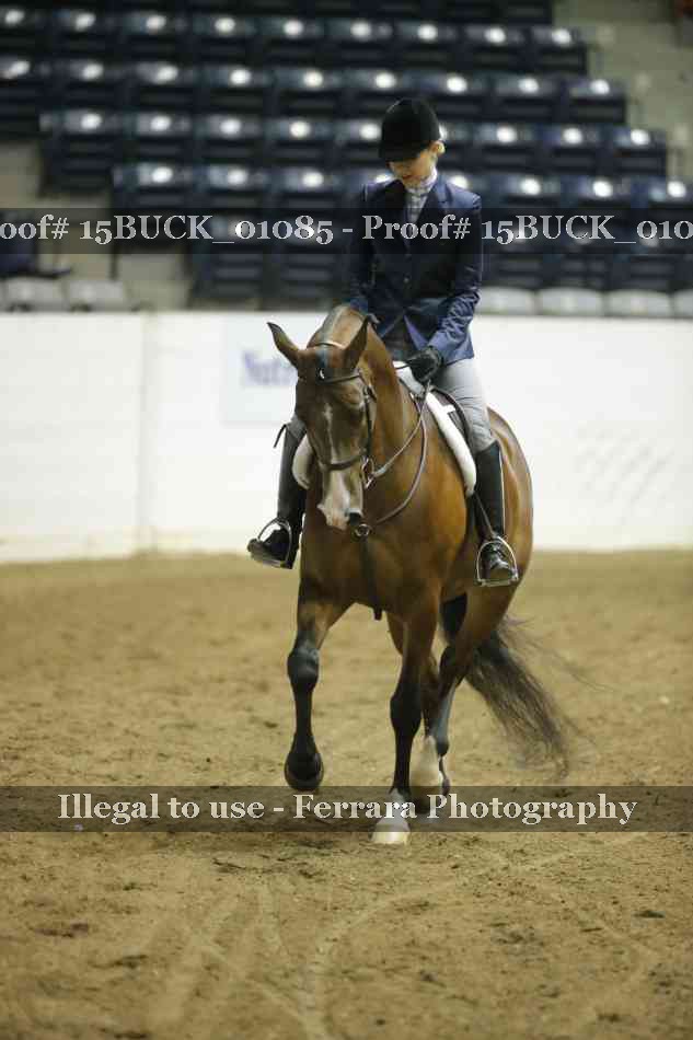 Proof 15BUCK_01085