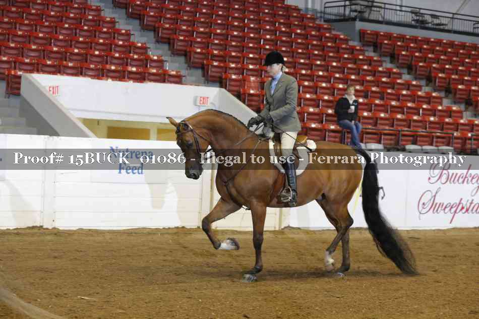 Proof 15BUCK_01086