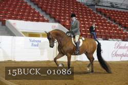 15BUCK_01086 proof