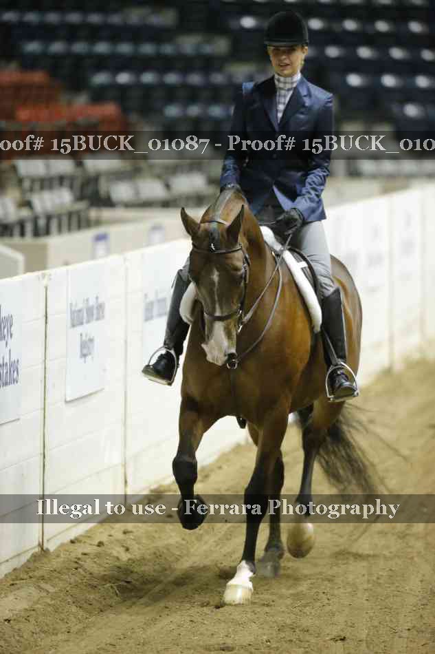 Proof 15BUCK_01087