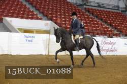 15BUCK_01088 proof