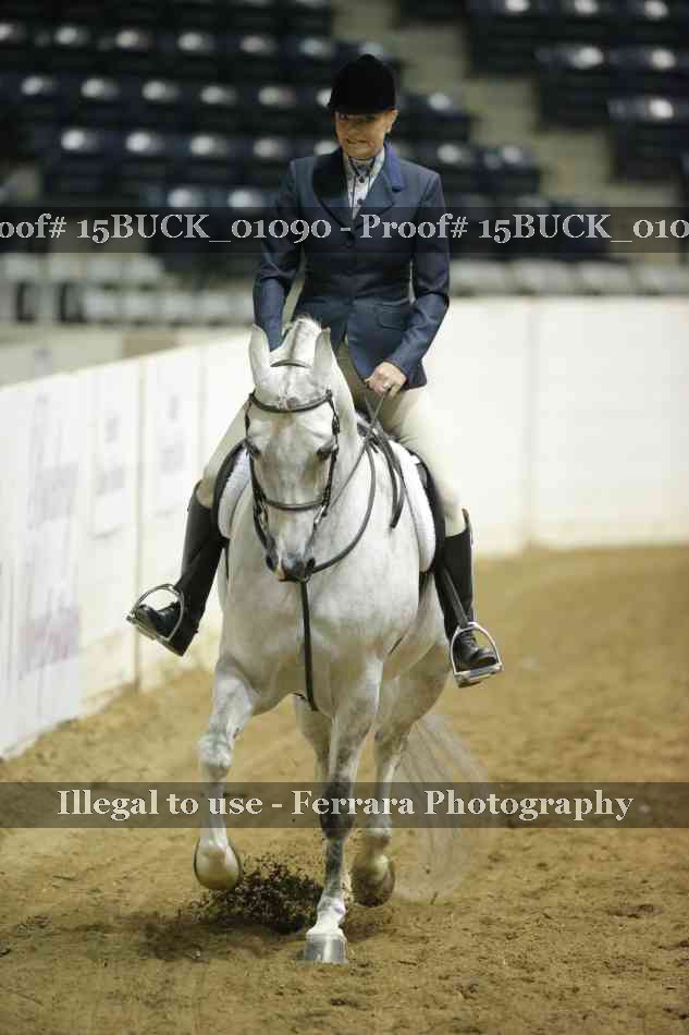 Proof 15BUCK_01090