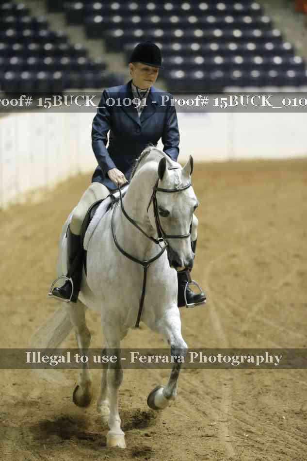Proof 15BUCK_01091