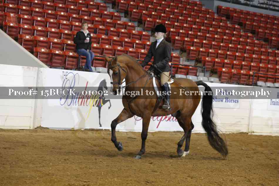 Proof 15BUCK_01092