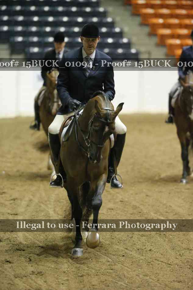 Proof 15BUCK_01094