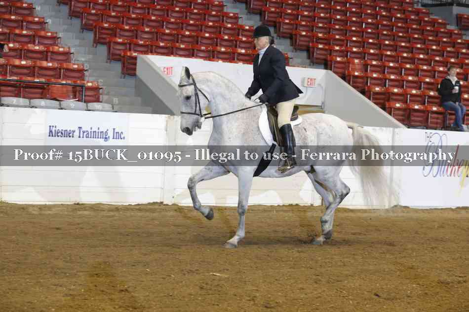 Proof 15BUCK_01095