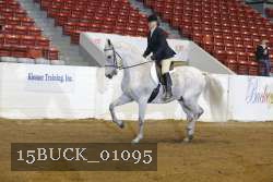 15BUCK_01095 proof