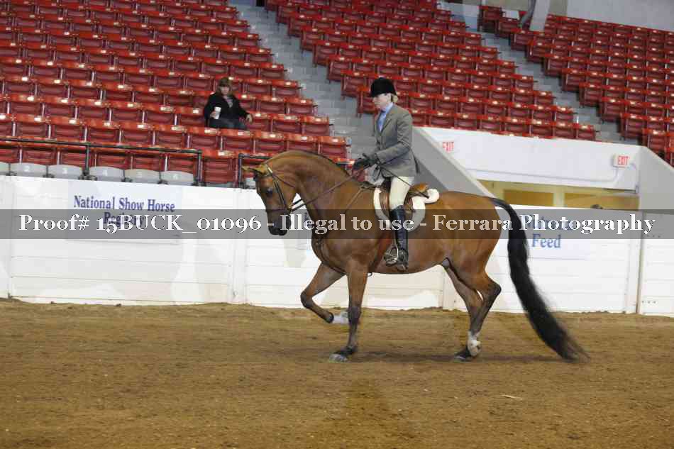 Proof 15BUCK_01096